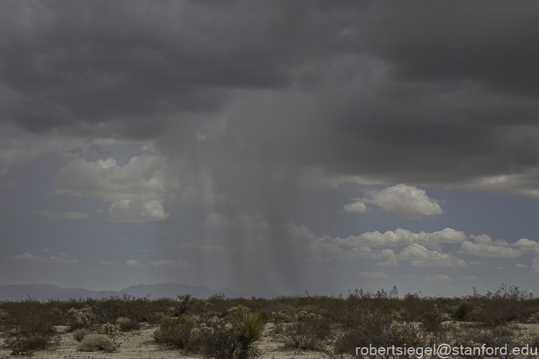 Joshua Tree National Park